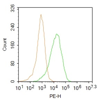 ILVBL Rabbit Polyclonal Antibody