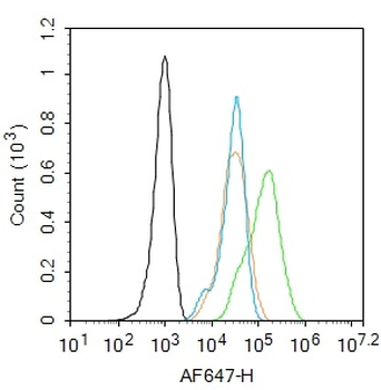 Angiotensin III Rabbit Polyclonal Antibody