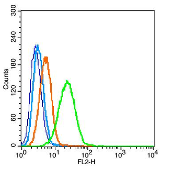 ACSBG2 Rabbit Polyclonal Antibody