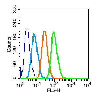ALPPL2 Rabbit Polyclonal Antibody