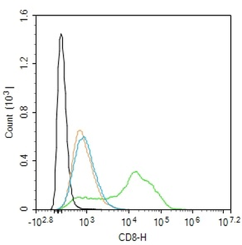 CD8 Rabbit Polyclonal Antibody