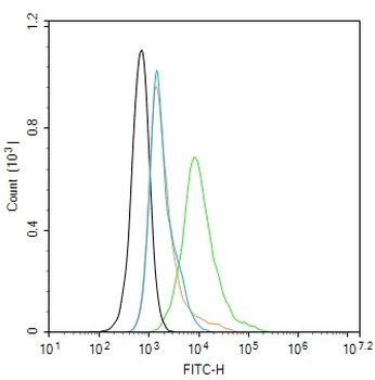 CLCA4 Rabbit Polyclonal Antibody