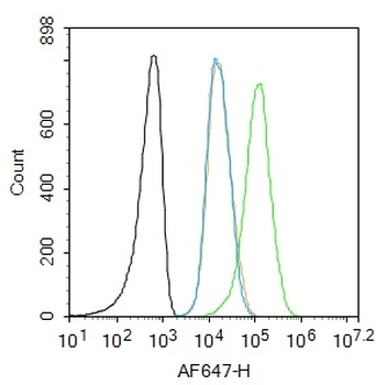 Ubiquitin Rabbit Polyclonal Antibody