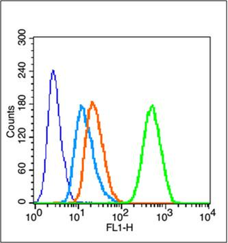 Caspase-1 p20 Rabbit Polyclonal Antibody