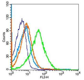 SLC15A3 Rabbit Polyclonal Antibody