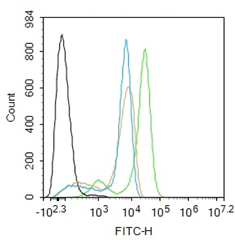 SLC25A36 Rabbit Polyclonal Antibody