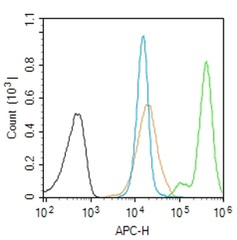 ASF1A Rabbit Polyclonal Antibody