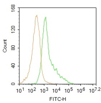 IL2RA/CD25 Rabbit Polyclonal Antibody (FITC)