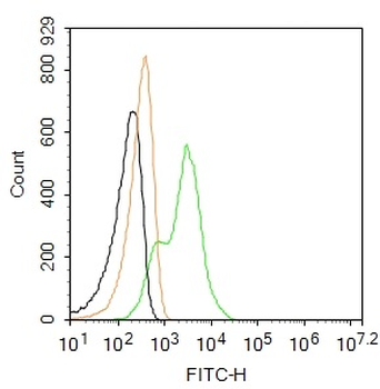 P2Y9 Rabbit Polyclonal Antibody (FITC)