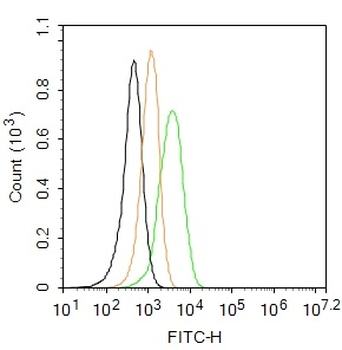 TLR4 Rabbit Polyclonal Antibody (FITC)