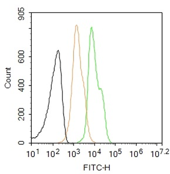 EGFR Mouse Monoclonal Antibody (FITC)