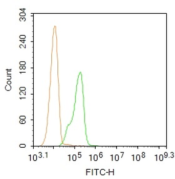 Nurr1 Rabbit pAb, FITC conjugated