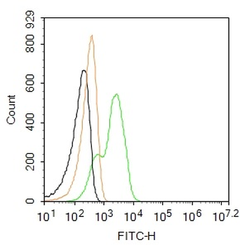 TYROBP Rabbit Polyclonal Antibody (FITC)