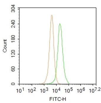 CLK2 Rabbit Polyclonal Antibody (FITC)