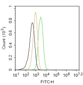 Collagen I Rabbit Polyclonal Antibody (FITC)
