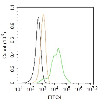 VWF Rabbit Polyclonal Antibody (FITC)