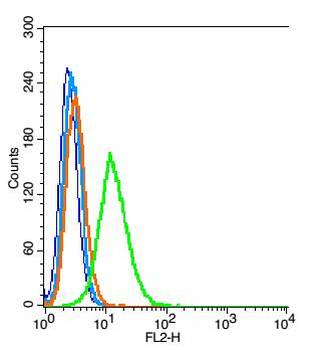 CD47 Rabbit Polyclonal Antibody