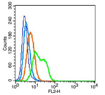 Integrin alpha 2 Rabbit Polyclonal Antibody