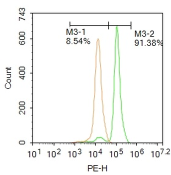 ADAM17 Rabbit Polyclonal Antibody (PE)
