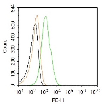 SOCS3 Rabbit Polyclonal Antibody (PE)