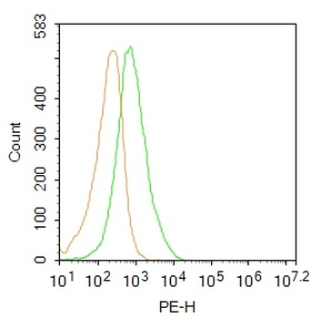 CK7 Rabbit Polyclonal Antibody (PE)