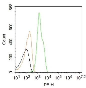 CK18 Rabbit Polyclonal Antibody (PE)