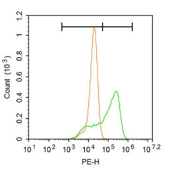 CREM Rabbit Polyclonal Antibody