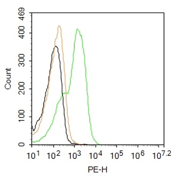 CTLA4 Rabbit Polyclonal Antibody (PE)