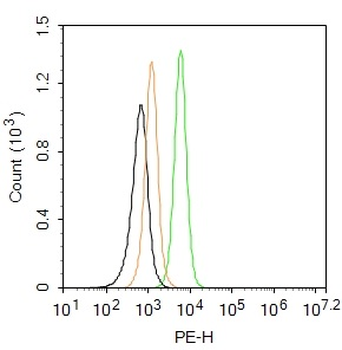 ERK1 + ERK2 Rabbit Polyclonal Antibody (PE)