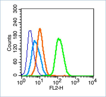 LC3A/B Rabbit Polyclonal Antibody
