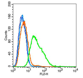 BTN2A1 Rabbit Polyclonal Antibody
