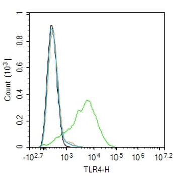 TLR4 Rabbit Polyclonal Antibody