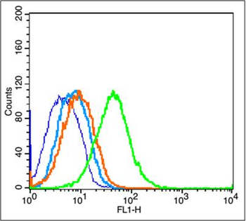 CD44v10 Rabbit Polyclonal Antibody