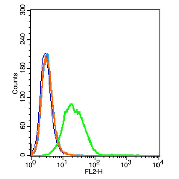 SLC10A1 Rabbit Polyclonal Antibody