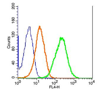AQP9 Rabbit Polyclonal Antibody