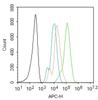 SOX2 Rabbit Polyclonal Antibody