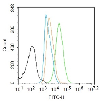 HMGB1 Rabbit Polyclonal Antibody