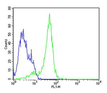 Nestin Rabbit Polyclonal Antibody
