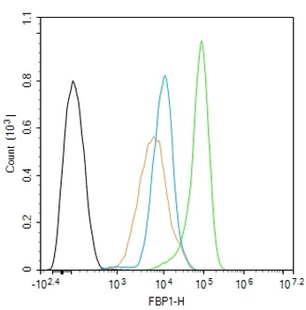 FBP1 Rabbit Polyclonal Antibody