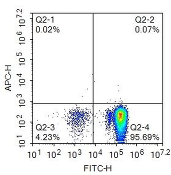 Human CD45 Mouse Monoclonal Antibody (FITC)