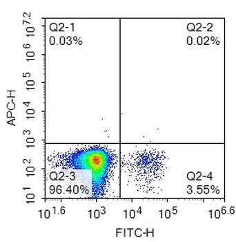 Human CD19 Mouse Monoclonal Antibody (FITC)