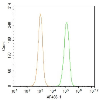 Human CD45 Mouse Monoclonal Antibody