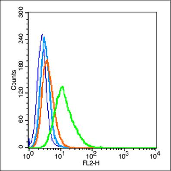ID1 Rabbit Polyclonal Antibody