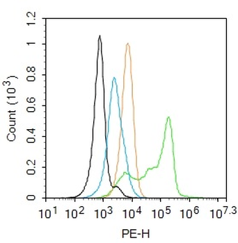 GPX1 Rabbit Polyclonal Antibody