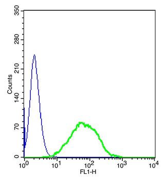 Phospho-IGF1R (Tyr980) Rabbit Polyclonal Antibody