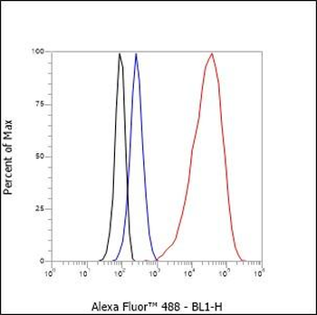 CK20 Recombinant Rabbit Monoclonal Antibody