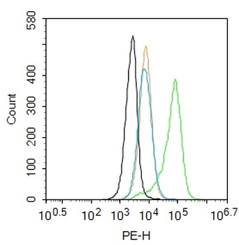 ATG18 Rabbit Polyclonal Antibody