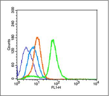Phosphos-PCNA (Tyr211) Rabbit Polyclonal Antibody