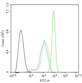 ADAR1 Rabbit Polyclonal Antibody
