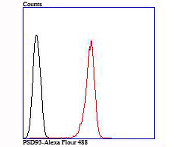 PSD93/DLG2 Recombinant Rabbit Monoclonal Antibody